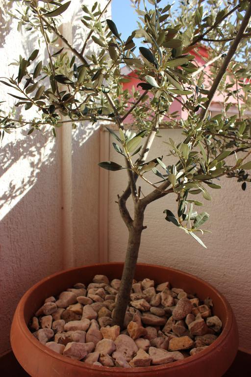 Apartman Luburic Pinezići Extérieur photo